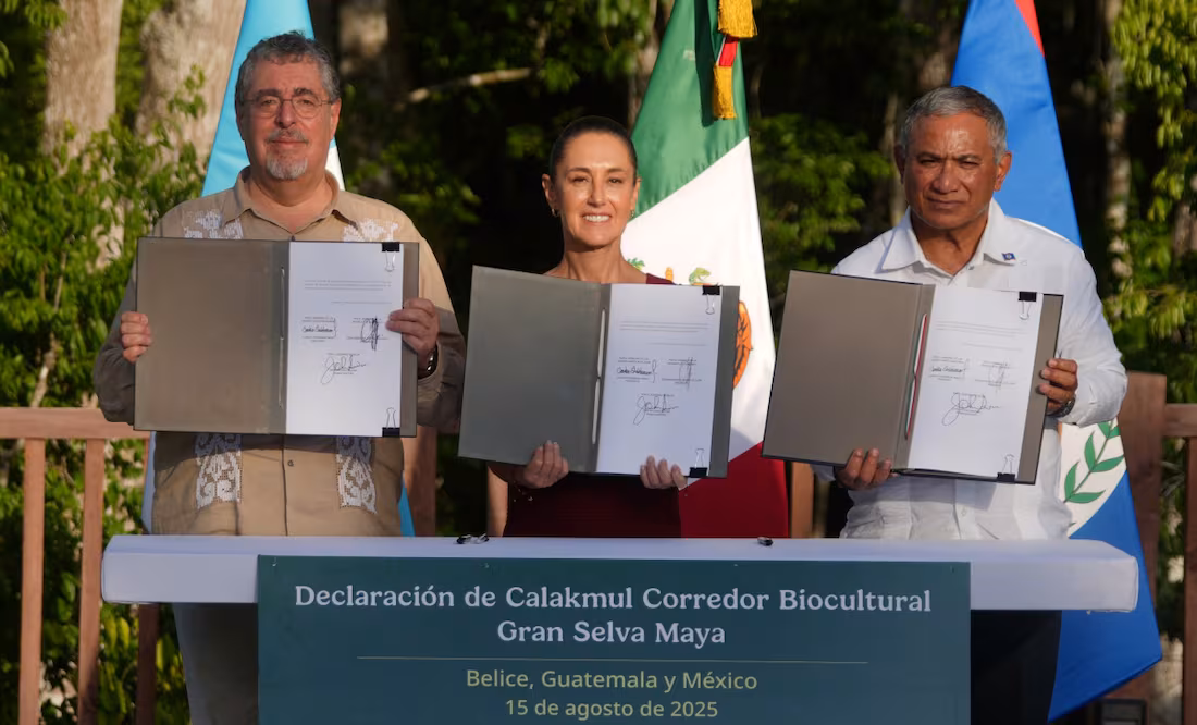 Sheinbaum anuncia Corredor Gran Selva Maya Belice-Guatemala y México; buscan preservar 5.7 millones de hectáreas